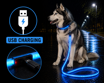 💙 LumiLeash™ – Laisse LED Lumineuse Bleue pour Chien 🐾✨
