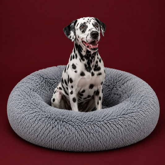 PANIER DOUILLET POUR CHIEN