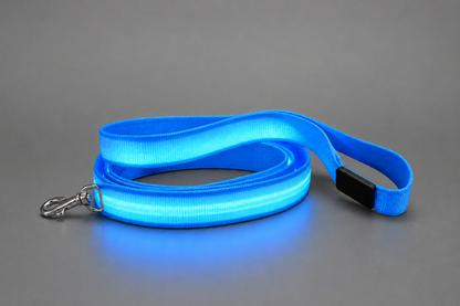 💙 LumiLeash™ – Laisse LED Lumineuse Bleue pour Chien 🐾✨