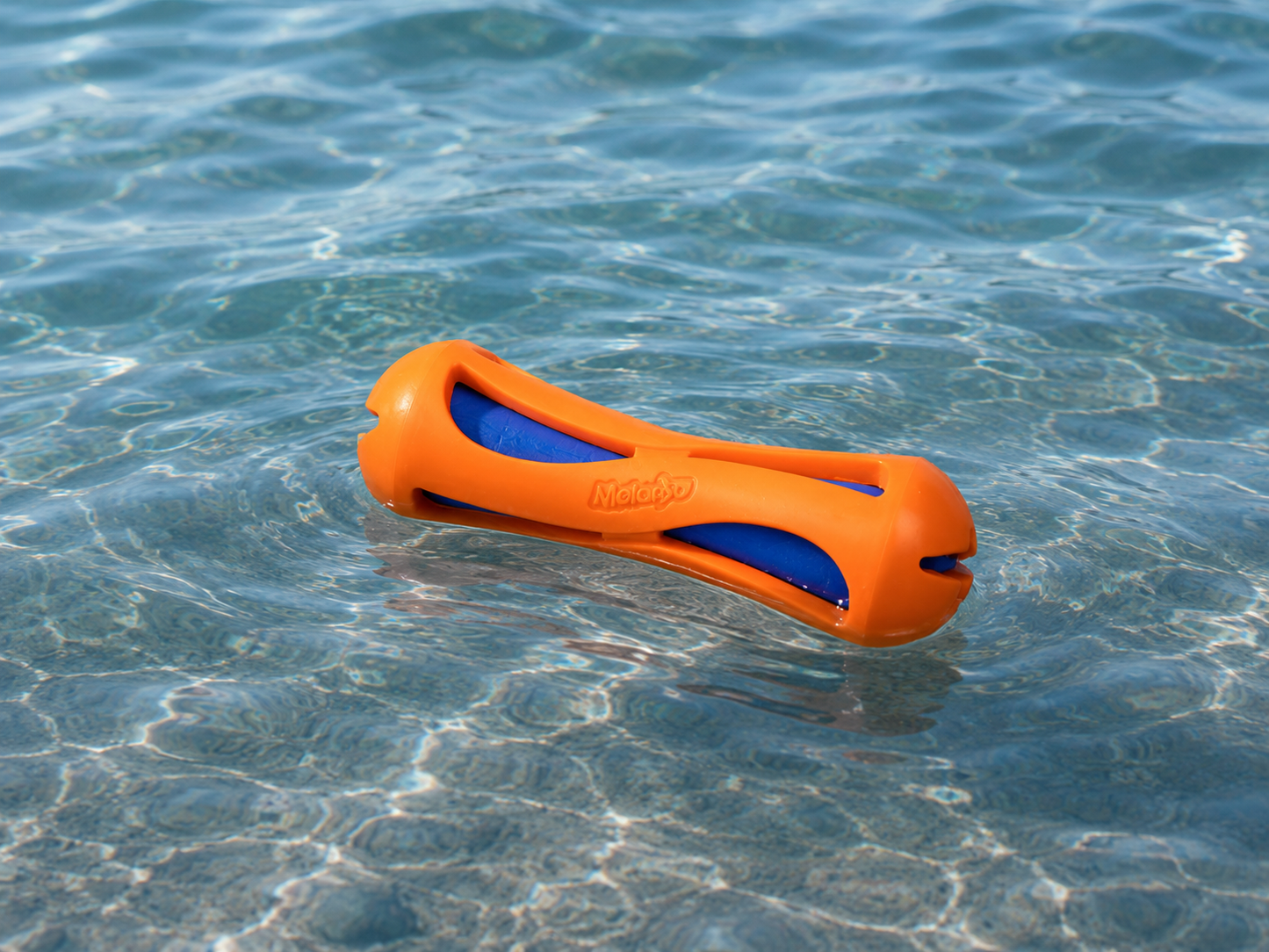 BÂTON FLOTTANT POUR CHIEN